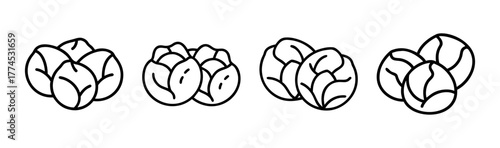 Vector illustration of fresh brussels sprouts healthy food icon