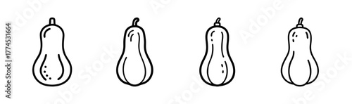 Butternut squash illustration vector food vegetable nature autumn harvest graphic