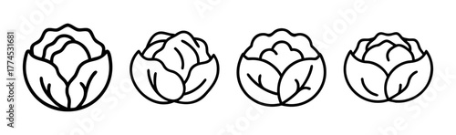 Fresh green cabbage vector illustration scalable icon for healthy food