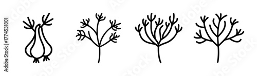 Dill branch vector illustration herb leaf green spice culinary ingredient food