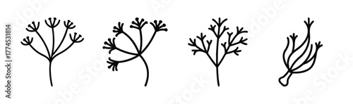 Green dill sprigs fresh herb culinary ingredient vector illustration scalable icon