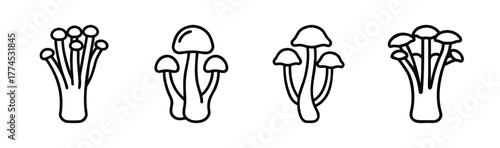 Scalable vector illustration of enoki mushrooms food and culinary icon