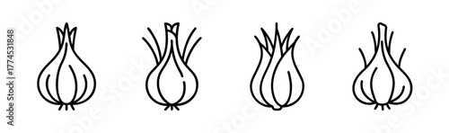 Vector illustration of a fresh fennel bulb with green fronds