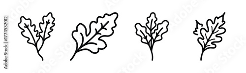 Scalable vector illustration of five fresh arugula leaves in a minimalist style