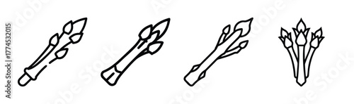 Green asparagus spear vector illustration food icon