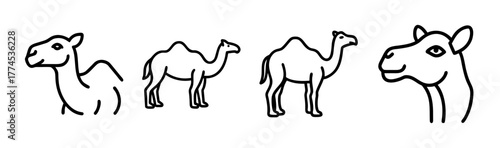 Elegant vector camel illustration for diverse applications