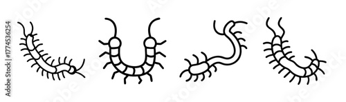 Stylized centipede illustration vector art scalable insect icon