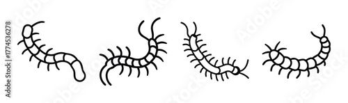 Centipede vector illustration scalable graphic icon art