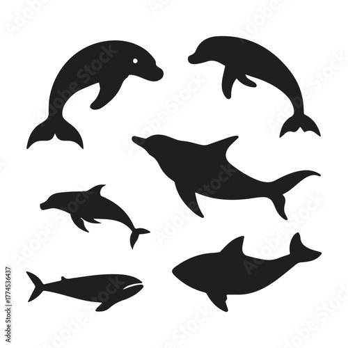 Dolphin Silhouettes: A collection of elegant dolphin silhouettes gracefully dancing, perfect for conveying oceanic charm and playful energy. 