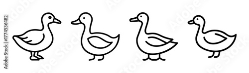 Cute duck vector illustration for graphics and design