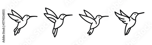 Elegant vector hummingbird illustration for diverse design projects