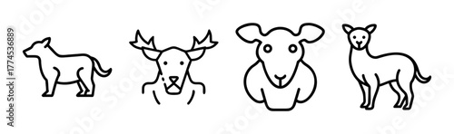 Collection of 13 cute cartoon animals vector illustration