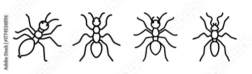 Ant vector illustration scalable icon for general use