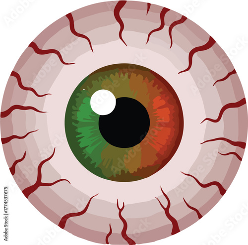 Bloodshot eyeball vector graphic with red veins and a green and red iris isolated on a transparent background