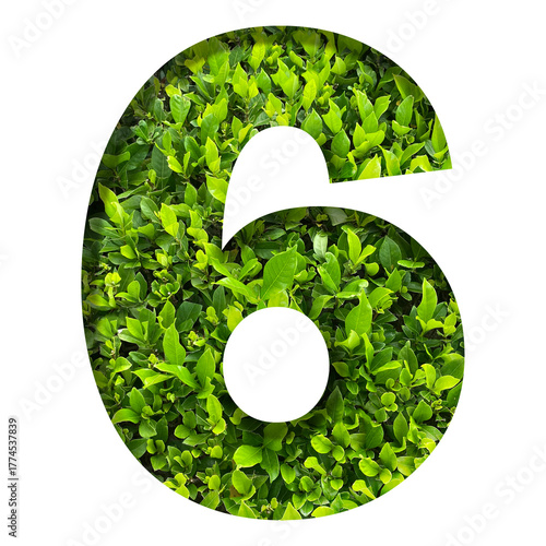 number 6 from green leaves  isolated on transparent background. suitable for birthday, anniversary and memorial day templates.