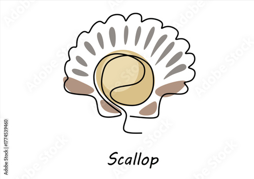 Line Art Scallop Shell Illustration. line icon-continuous line drawing. Editable stroke.