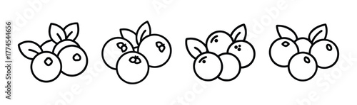 Whimsical sketch of four clusters of blueberries with leaves and stems