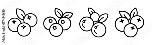 Fresh blueberry illustrations simple outline fruit sprigs with leaves healthy food drawing elements
