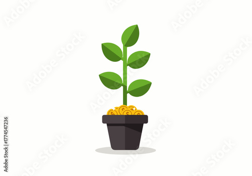 A small green plant with leaves growing in a dark gray pot filled with yellow soil, isolated on a white background.