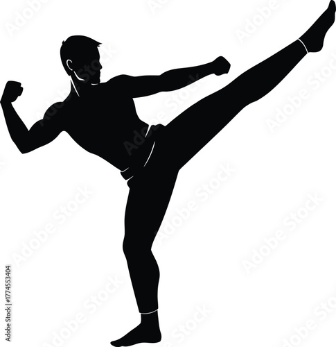 Black silhouette of a man performing a high kick male