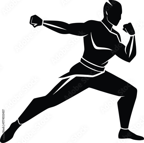 Black silhouette of a martial artist throwing a punch