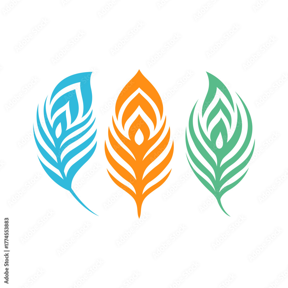 Obraz premium minimalistic peacock feather set