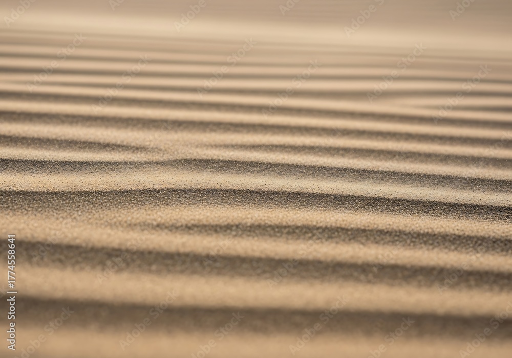 Obraz premium Ethereal sand dunes, rippled desert patterns create calming composition