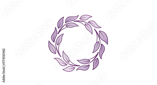 vector illustration of a cabbage