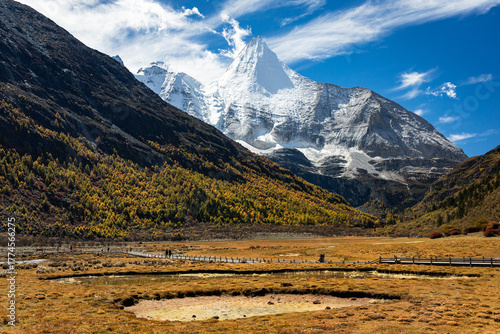 Beautiful Scenic of Luorong Grassland in Yading Natural Reserve