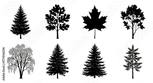 Tree Silhouettes Collection – Diverse Leaf and Branch Shapes for Botanical Study