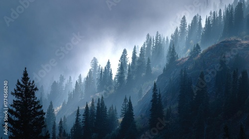 Misty mountain scene. Evergreen trees cascade down a hillside shrouded in atmospheric fog, light breaking through the trees