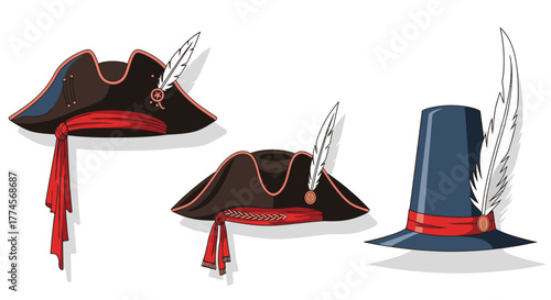 Three hats with feathers, including pirate and colonial styles.