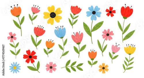 Collection of colorful hand drawn floral elements and leaves isolated on transparent background