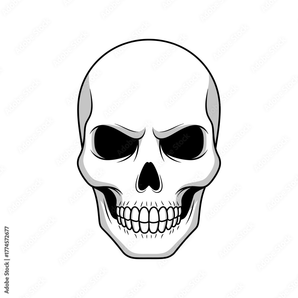 Fototapeta premium Detailed Skull Illustration with Intricate Dental and Eye Socket Features.