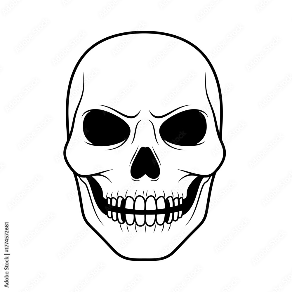 Fototapeta premium Detailed Skull Illustration with Intricate Dental Structure and Dark Eye Sockets.