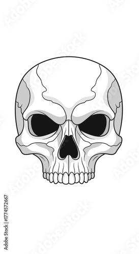 Detailed Skull Illustration with Intricate Bone Structure and Shadowing.