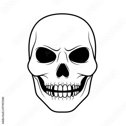 Detailed Skull Illustration with Intricate Dental Structure and Dark Eye Sockets.