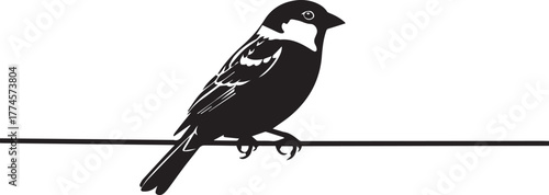 Silhouette of a small bird perched on a thin horizontal line against a plain backdrop