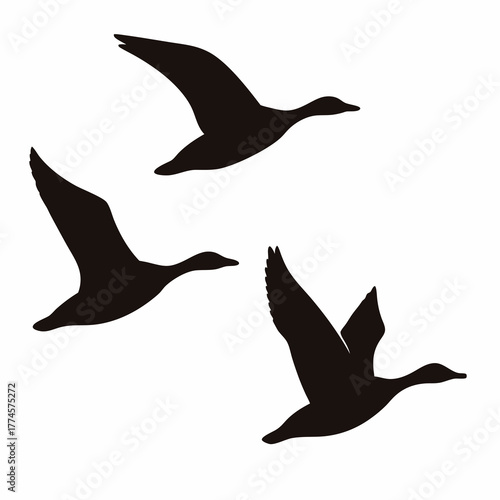 Three stylized ducks gracefully soaring in monochrome illustration on white backdrop
