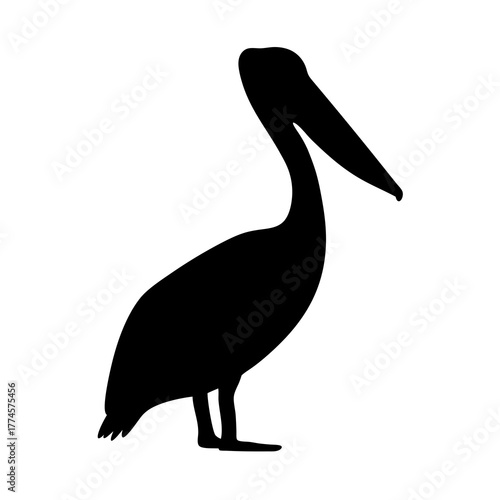 Silhouette of a Standing Pelican with a Long Beak on White Background