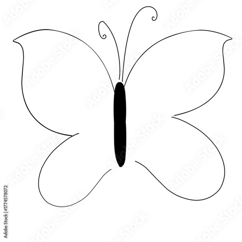 butterfly vector illustration