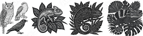 black wildlife,  engraving and white abstract background