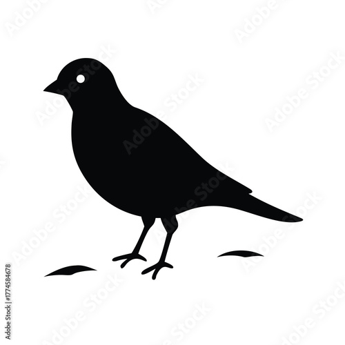 Silhouette of a small black bird standing on the ground with its head turned