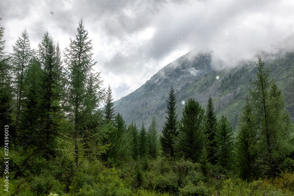 Fototapeta premium Mountain landscape with fog and clouds. Altai, Russia.