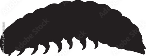 Silhouette larva transparent
