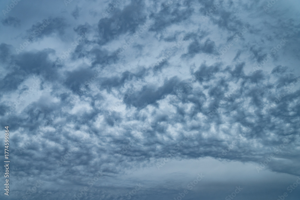 Fototapeta premium Textured cloudy sky with layered altocumulus pattern and dramatic shades of gray representing approaching storm front and natural atmospheric landscape with soft light gradients