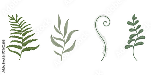 Set botanical twigs. Collection vector botanical decorative illustration.