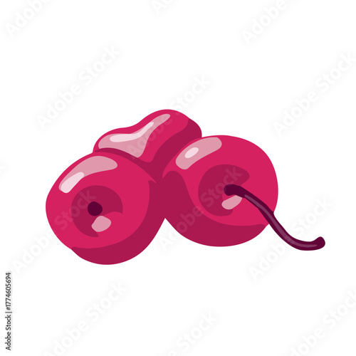 Cherry berries cosmetic ingredient component illustration