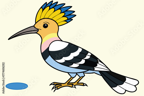A hoopoe bird standing on a