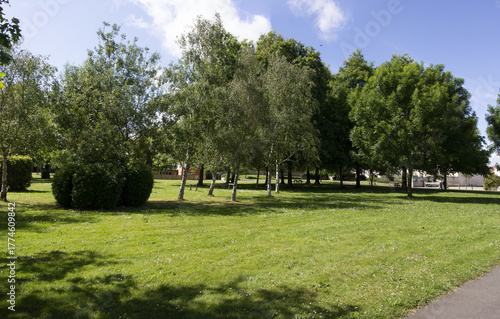 Parc verdoyant avec allée ombragée en été